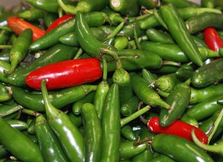 Chile Serrano