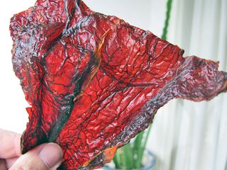 Adobo Chile Ancho Contraluz