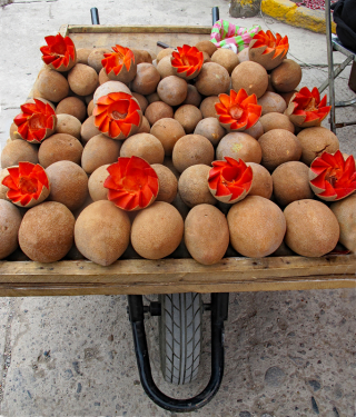 Oaxaca Tlacolula Mamey Resized