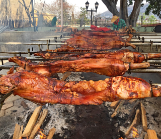 Pigs Roasting 1 Pigs Roasting 1