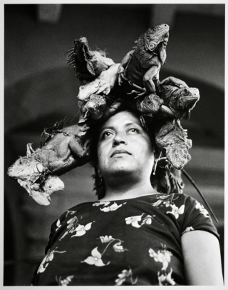 Nuestra Sen?ora de las Iguanas