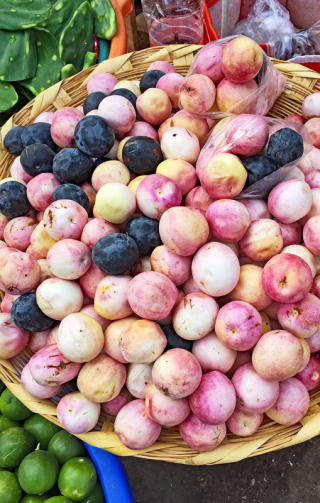 Silvana Jicacos Juchita?n