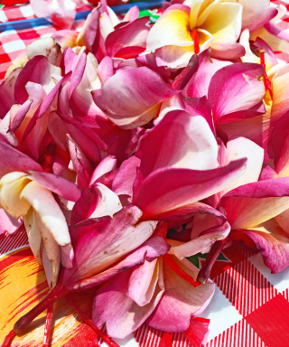 Silvana Juchita?n Collares de Plumeria