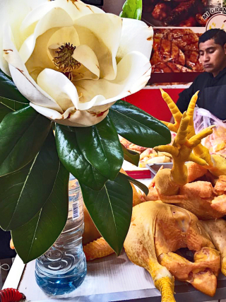 Oaxaca Mercado de la Merced Magnolia y pata de pollo 1 Oaxaca Mercado de la Merced Magnolia y pata de pollo 1
