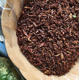 Oaxaca Mercado de la Merced Chapuli?n y Chayote Oaxaca Mercado de la Merced Chapuli?n y Chayote