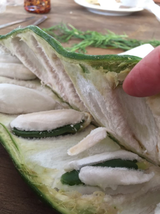 Jinicuil Open Jinicuil Open