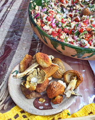 Encuentro Di?a 3 Ceviche de Hongos Silvestres Better Encuentro Di?a 3 Ceviche de Hongos Silvestres Better