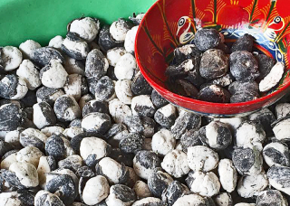 Cacao Fermentado 1 Cacao Fermentado 1