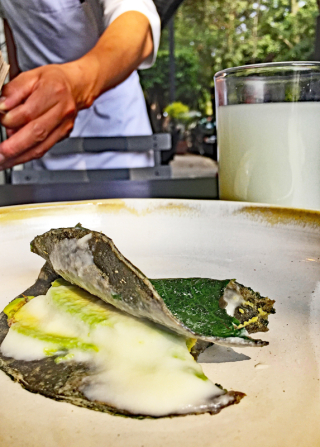 Molino Pujol Taco Insides Molino Pujol Taco Insides