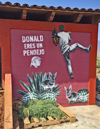 Ilegal Donald Eres Un Pendejo