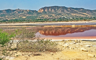 Silvana Salina Cruz Salt Flats Silvana Salina Cruz Salt Flats