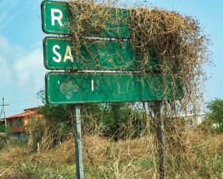 Silvana San Mateo del Mar Rumbo Desconocido Silvana San Mateo del Mar Rumbo Desconocido