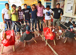 Toritos Tule 1 Toritos Tule 1