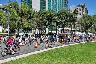 Alebrijes Paseo de la Reforma Domingo