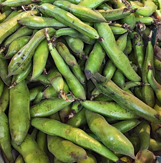 Habas Frescas Jamaica 1 Habas Frescas Jamaica 1