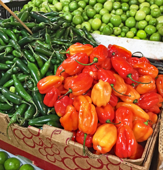 Chile Habanero Mercado de Jamaica Jan 2018 1 Chile Habanero Mercado de Jamaica Jan 2018 1