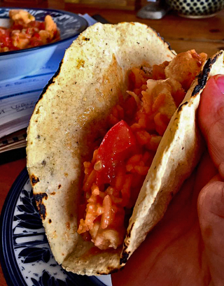 Taco Tortilla Abdiel Osorio 3 junio 2018 1a Taco Tortilla Abdiel Osorio 3 junio 2018 1a