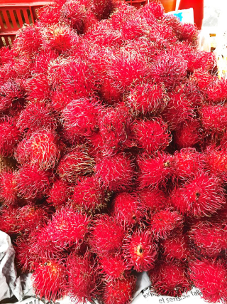 Rambutanes 5 de agosto Tlacolula 1a Rambutanes 5 de agosto Tlacolula 1a