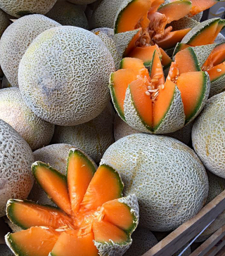 Melones Tlacolula 12 de agosto 2018 1a Melones Tlacolula 12 de agosto 2018 1a