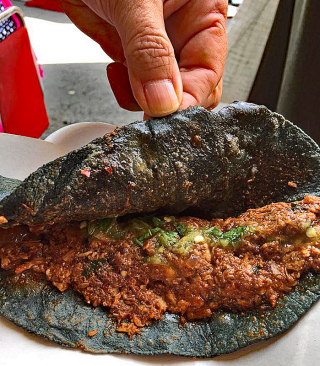 Quesadilla de Chicharron Prensado 19 de agosto 2018 1a Quesadilla de Chicharron Prensado 19 de agosto 2018 1a