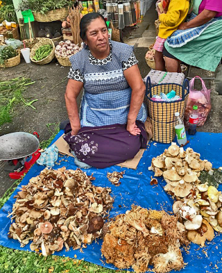 Don?a Georgina Mercado de Jamaica 22 septiembre 2018 1a Don?a Georgina Mercado de Jamaica 22 septiembre 2018 1a