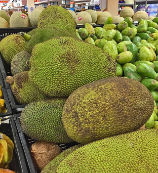 Yaca 1 de septiembre 2018 1a Yaca 1 de septiembre 2018 1a