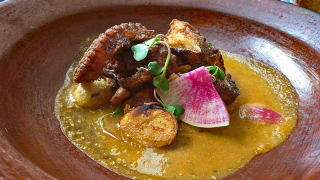 Pulpo con Huaximole 1 Pulpo con Huaximole 1