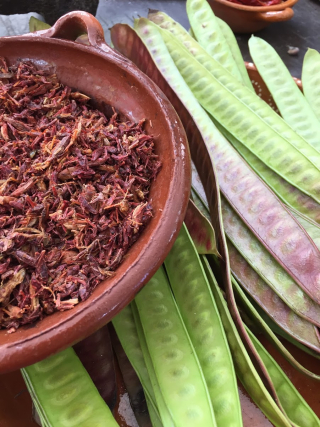 Chapulines y Guajes Chapulines y Guajes