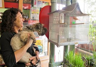 Paris Zabie and Pidds Paris Zabie and Pidds