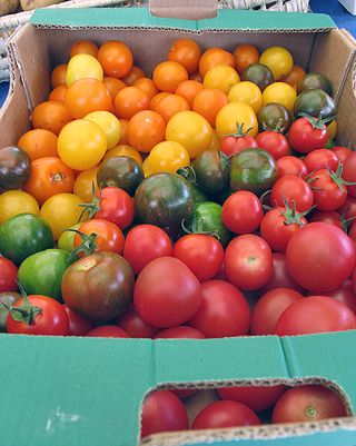 Paris Marché d'Aligre Tomato Varieties Paris Marché d'Aligre Tomato Varieties