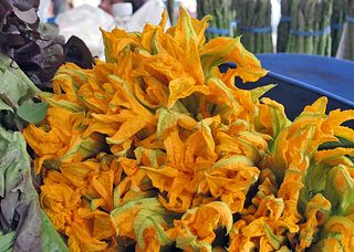 Bonjour Paris Flor de Calabaza Bonjour Paris Flor de Calabaza