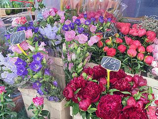 Paris Marché d'Aligre Peonies and Primroses Paris Marché d'Aligre Peonies and Primroses