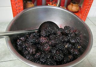 Cobbler Blackberries Cobbler Blackberries