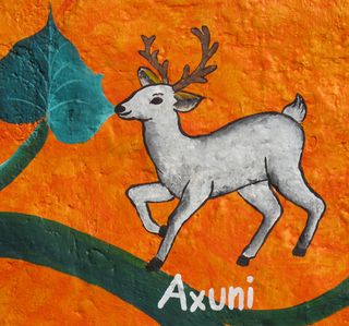 Santa Fe 8 Axuni Venado Santa Fe 8 Axuni Venado