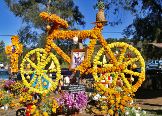 Altar de Muertos Bici Panteo?n Larousse Altar de Muertos Bici Panteo?n Larousse
