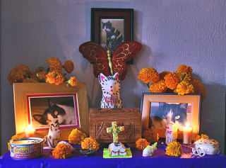 Chepo Ofrenda de Noche Nov 2 2010