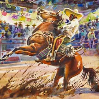 Jineteo de caballos Jineteo de caballos