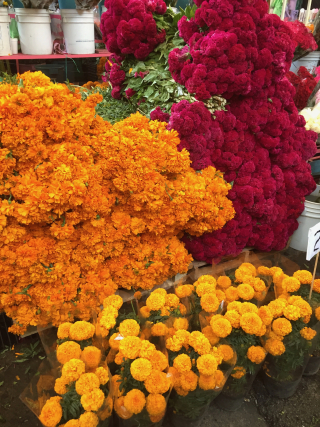 Cempasu?chil y Pata Jamaica Cempasu?chil y Pata Jamaica