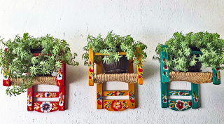 Chairs with Plants Nov 2019 1 Chairs with Plants Nov 2019 1