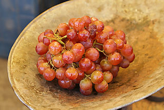Uva Roja Tianguis Morelia Uva Roja Tianguis Morelia