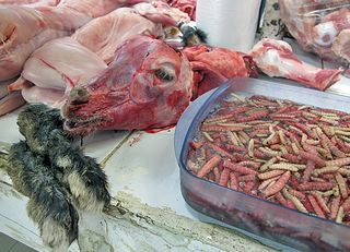 Mercado SJ Cabeza Cabrito con Gusanos Maguey Mercado SJ Cabeza Cabrito con Gusanos Maguey