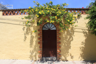 Miguel Blanco 4 Flores Miguel Blanco 4 Flores