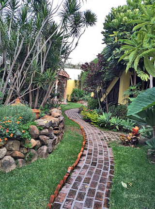 Teocintle Miguel Blanco Jardi?n 1 Teocintle Miguel Blanco Jardi?n 1