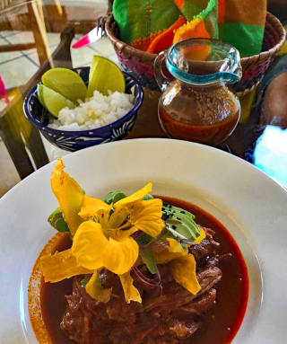 Teocintle Birria 1 Teocintle Birria 1