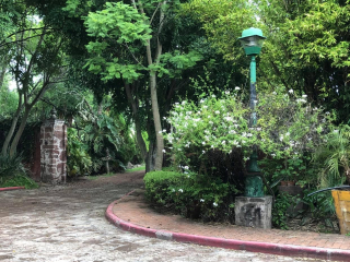 Hacienda Tzintimeo Camino