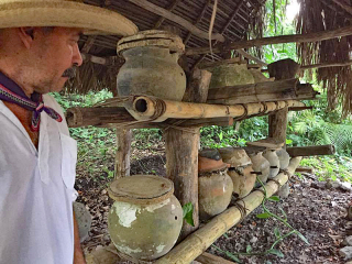 Jose? Luis Melipona Hives 1 Jose? Luis Melipona Hives 1