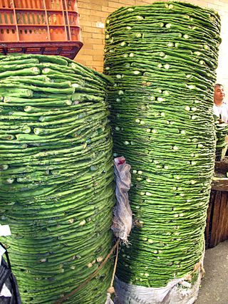 Recorrido Nopales Encimados