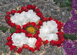 Tours FIMM Tapete Blanco y Rojo 2