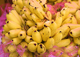 Platanos