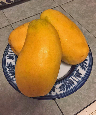 Atau?lfo Mangos june 2017 Atau?lfo Mangos june 2017